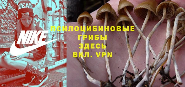кокаин премиум Алексин