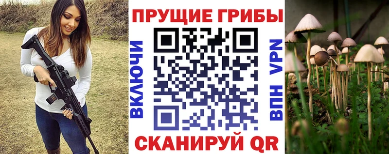 магазин продажи   Зеленокумск  Псилоцибиновые грибы прущие грибы 